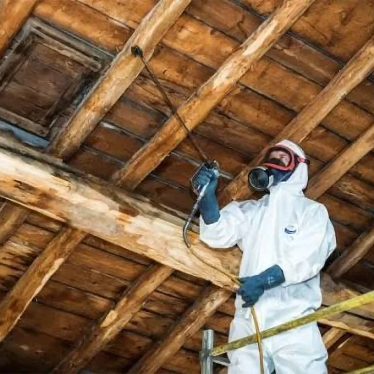 entreprise traitement charpente termites quincy-sous-sénart 91